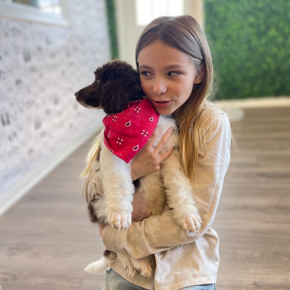 A cheerful young girl holds a dog A cheerful young girl holds a dog